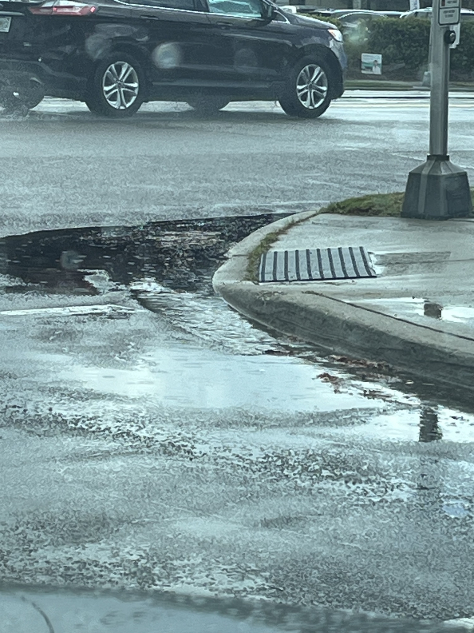 Rainwater collecting on a street corner