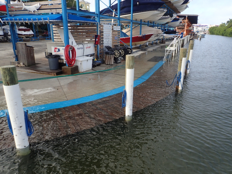 2019-10-8 Siesta Key docks high tide