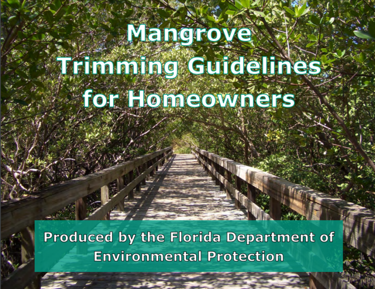 Cover Of Mangrove Trimming Guidline Book