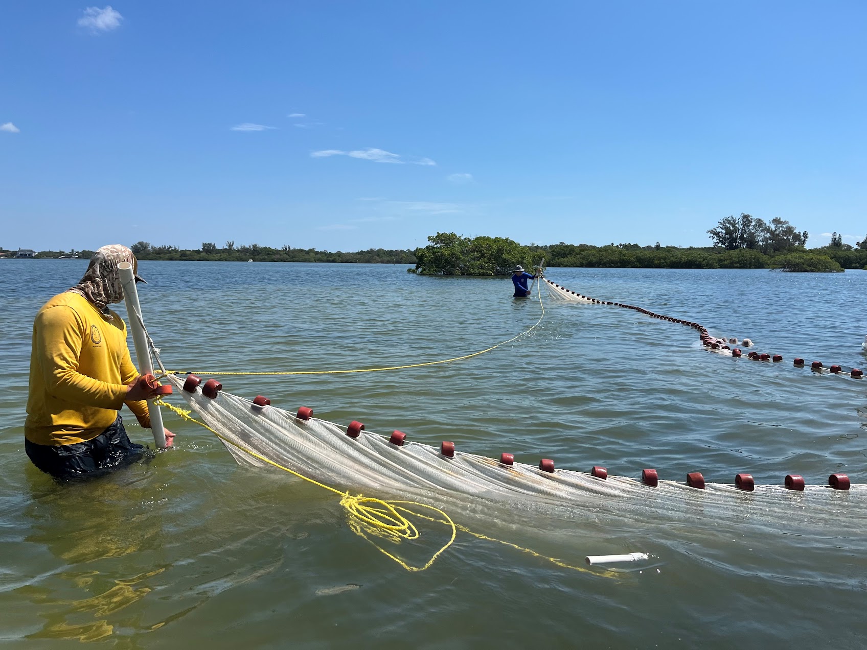 Two people in the water with a large net
