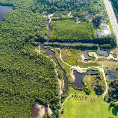 FISH Preserve from above