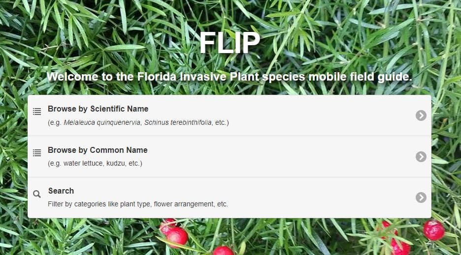 Florida Invasive Plant Species Mobile Field Guide