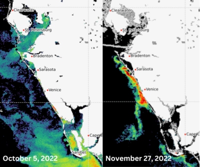 Algal Bloom satellite imagery from October 5 2022 and November 27 2022