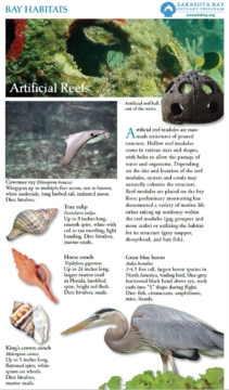 Field Guide Bay Habitats Artificial Reefs