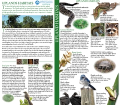 Field Guide Upland Habitats Scrub