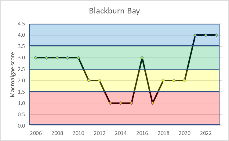 Graph Of Blackburn Bays Macroalgae Over Time