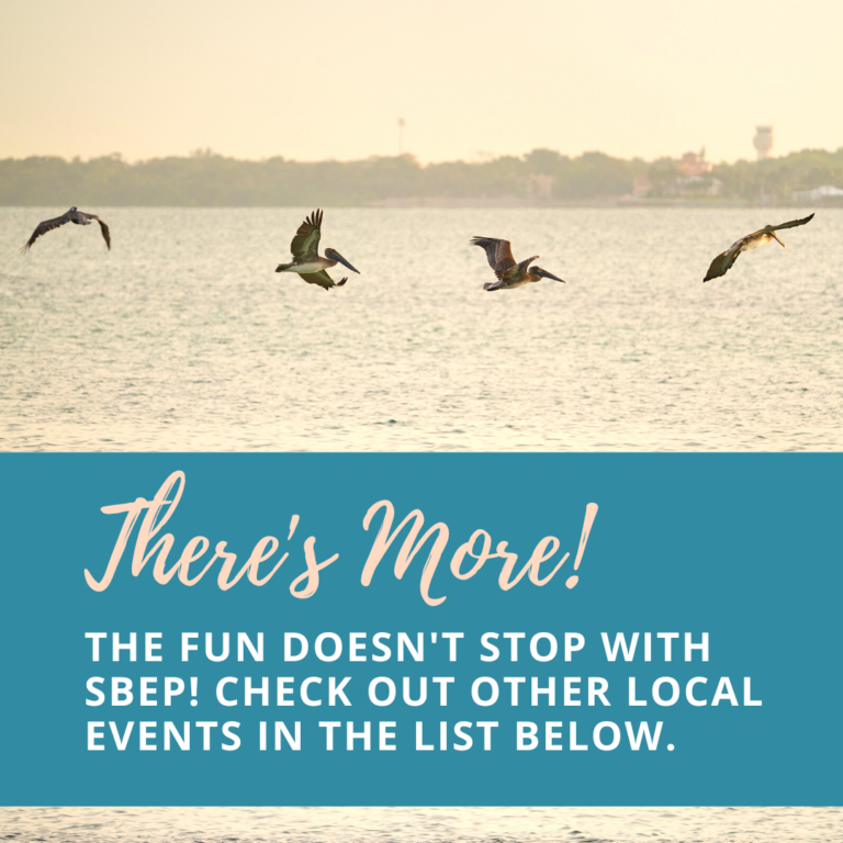 birds flying over bay at sunset behind text: There's More! The fun doesn't stop with SBEP. Check out other local events in the list below.