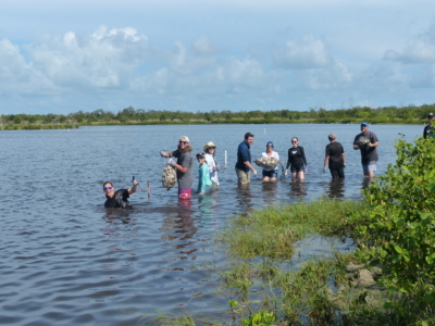 Volunteers in water placing bags of shell