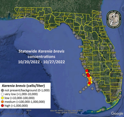 Red Tide map showing low to high concentrations in Sarasota, Charlotte, and Lee Counties from October 20 to October 27 2022