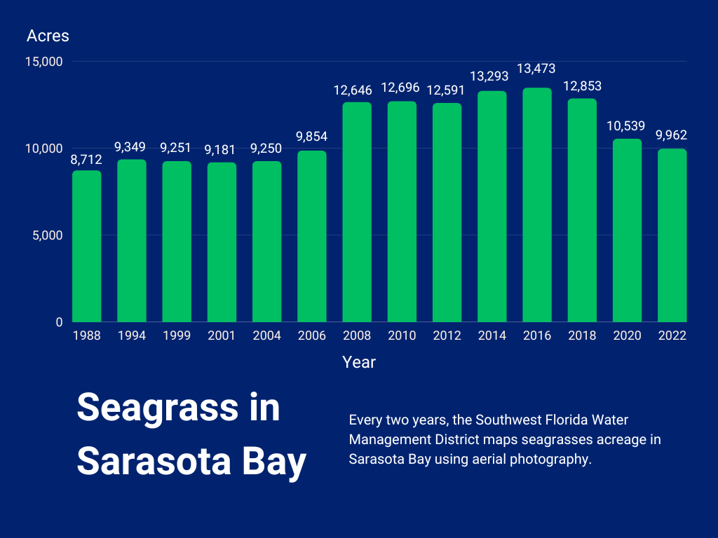 bar graph of Seagrass Acreage In Sarasota Bay