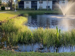 Shorewalk Ponds Condominium Association Pond Planting Project