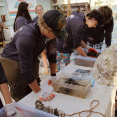 Students Learning How To Build Vertical Oyster Gardens (VOGs)