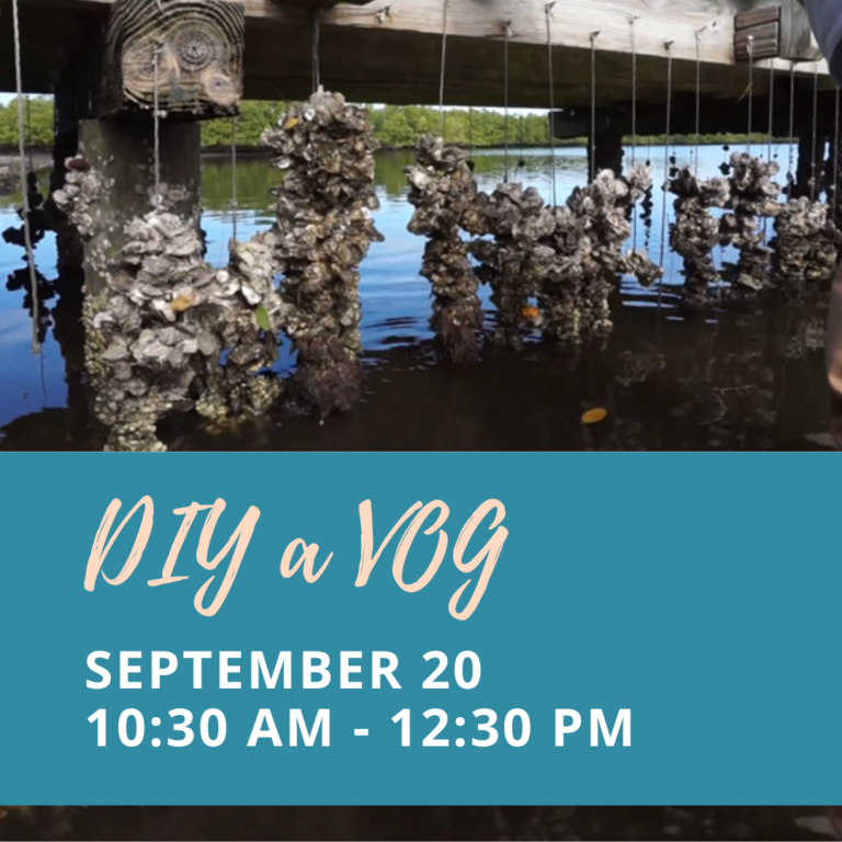 Vertical Oyster Gardens behind text: DIY VOG September 20 10:30AM - 12:30PM