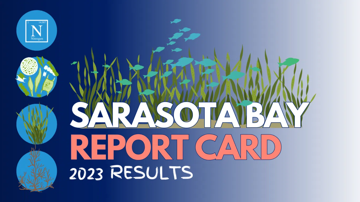 A graphic that reads "Sarasota Bay Report Card 2023 Results" with icons depicting nitrogen, chlorophyll, seagrass, and macroalgae.