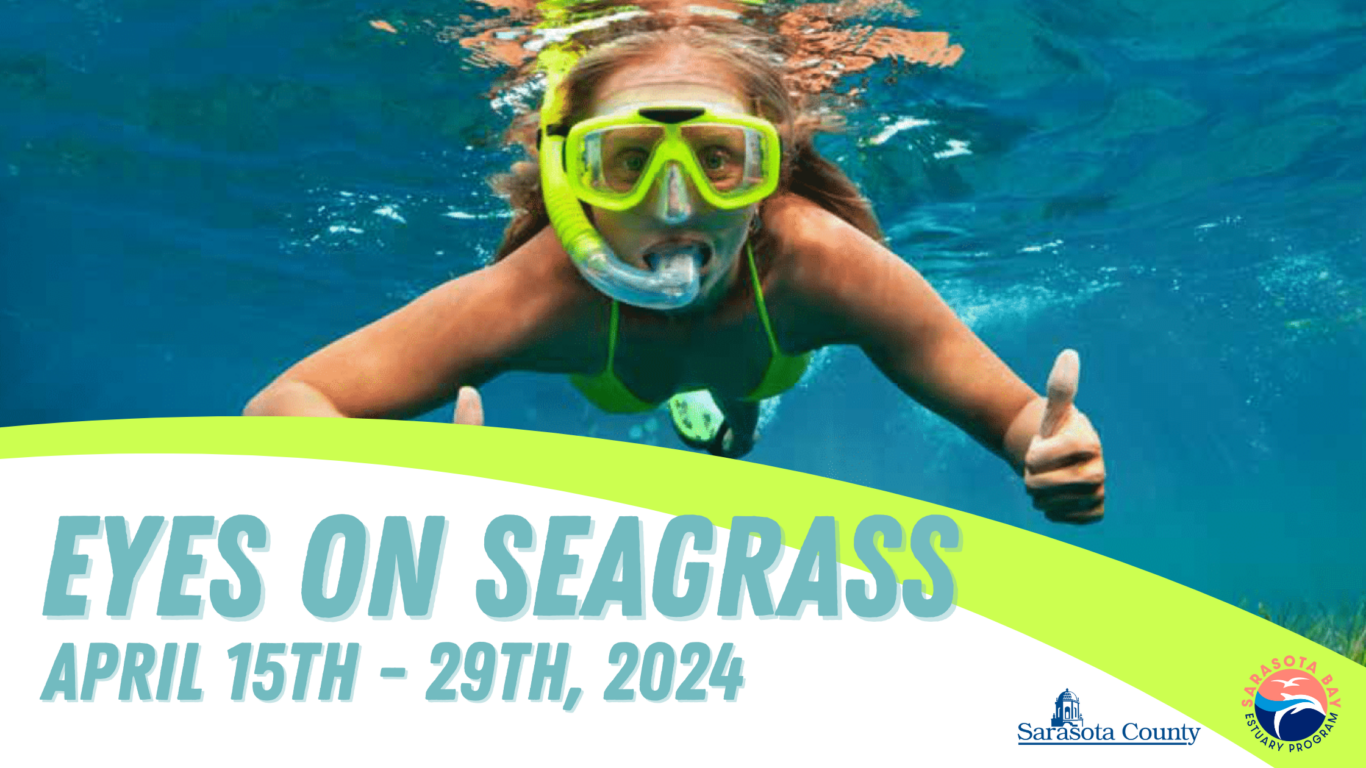 Eyes On Seagrass volunteer underwater