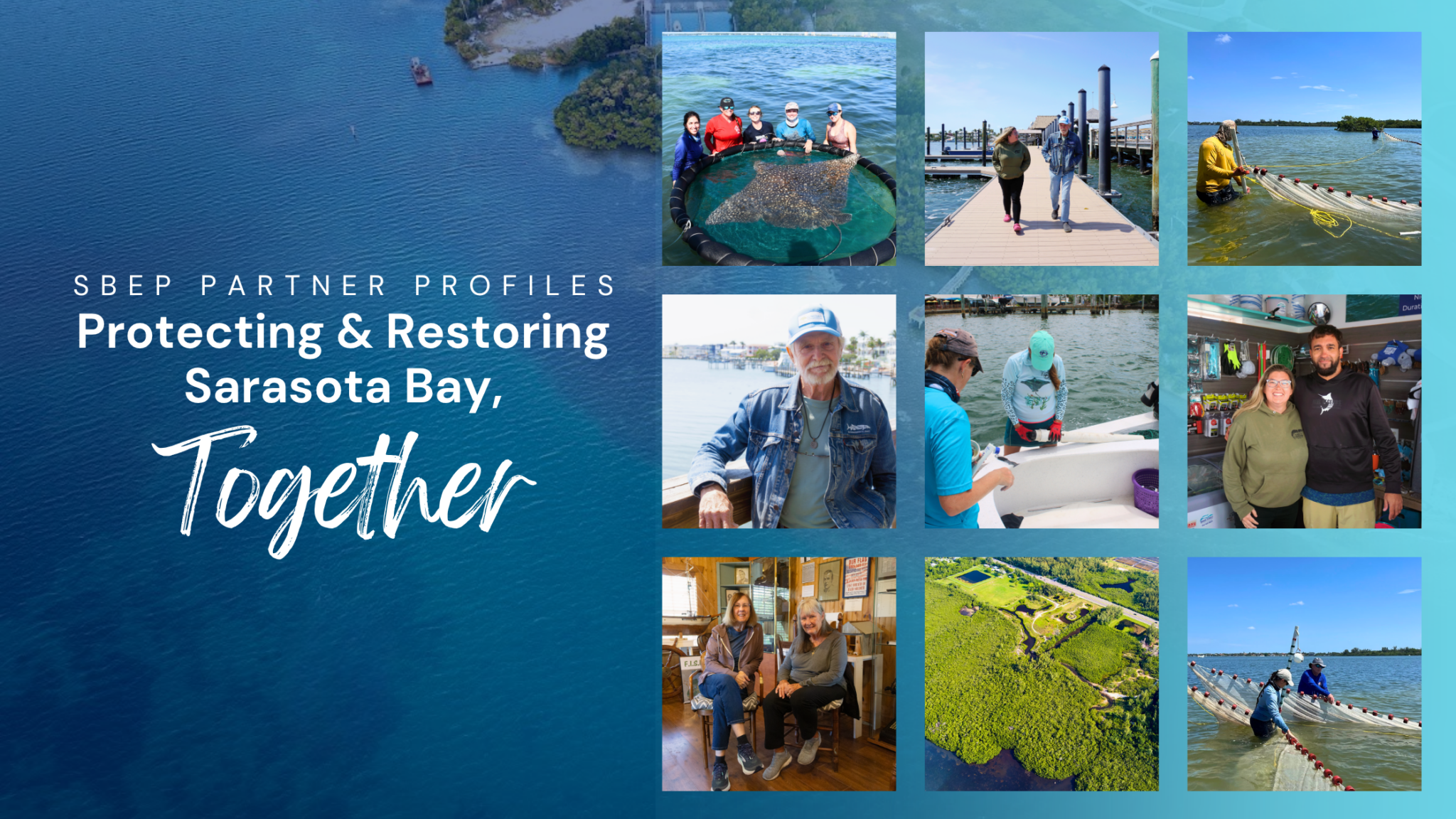 SBEP partner profiles graphic featuring an aerial view of Sarasota Bay as a blue background, with a collage of nine photos showing local people and organizations working to protect and restore the bay through wildlife research, shoreline restoration, fieldwork, and community partnerships. Text reads, “SBEP Partner Profiles: Protecting & Restoring Sarasota Bay, Together.”